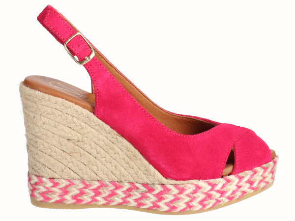 Viguera 1823 Fuxia