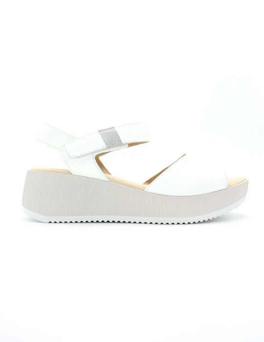 Kroc  546 Blanco