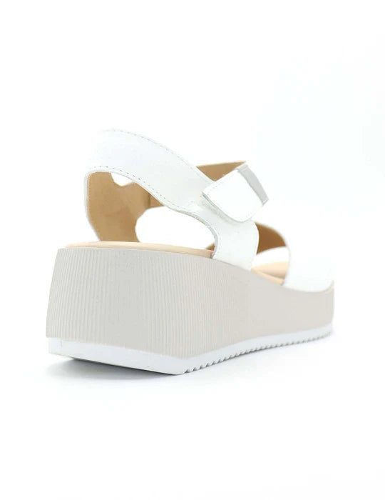 Kroc  546 Blanco