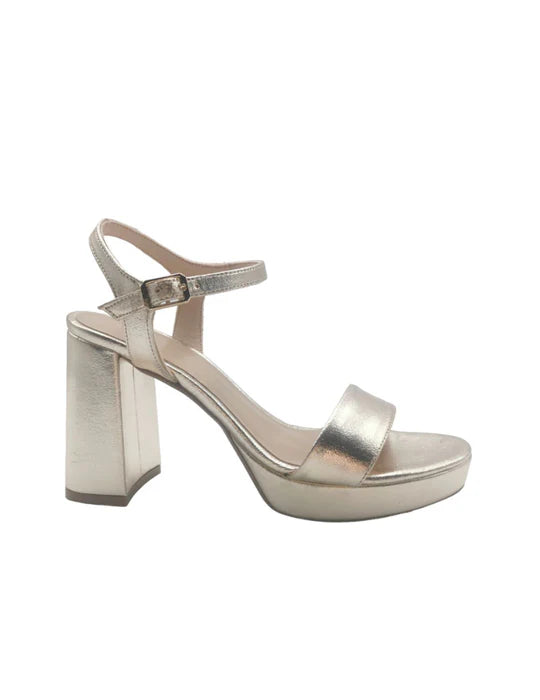 PATRICIA MILLER 6282 CHAMPAGNE