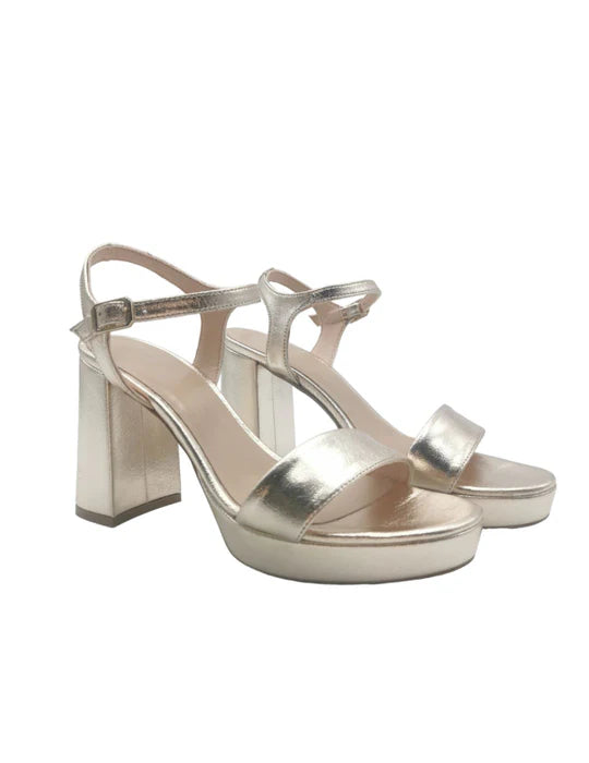 PATRICIA MILLER 6282 CHAMPAGNE