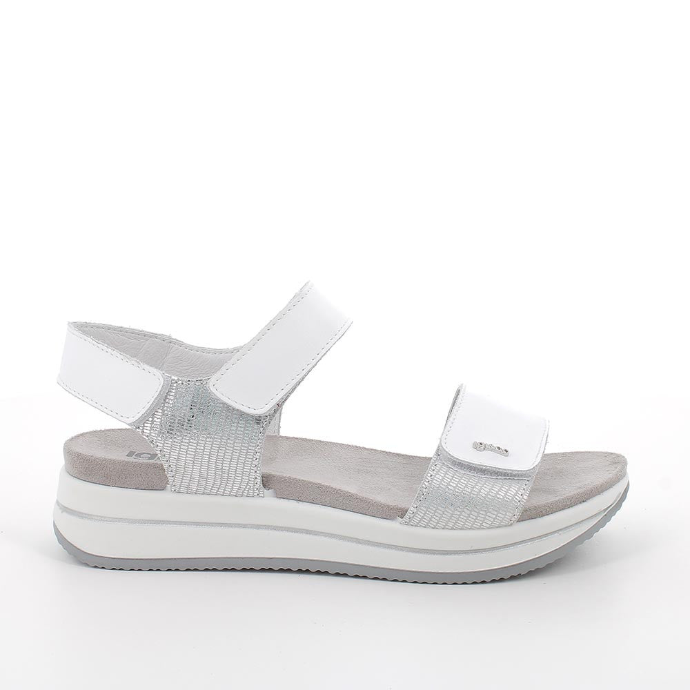 IGI-CO 7675433 PLATA