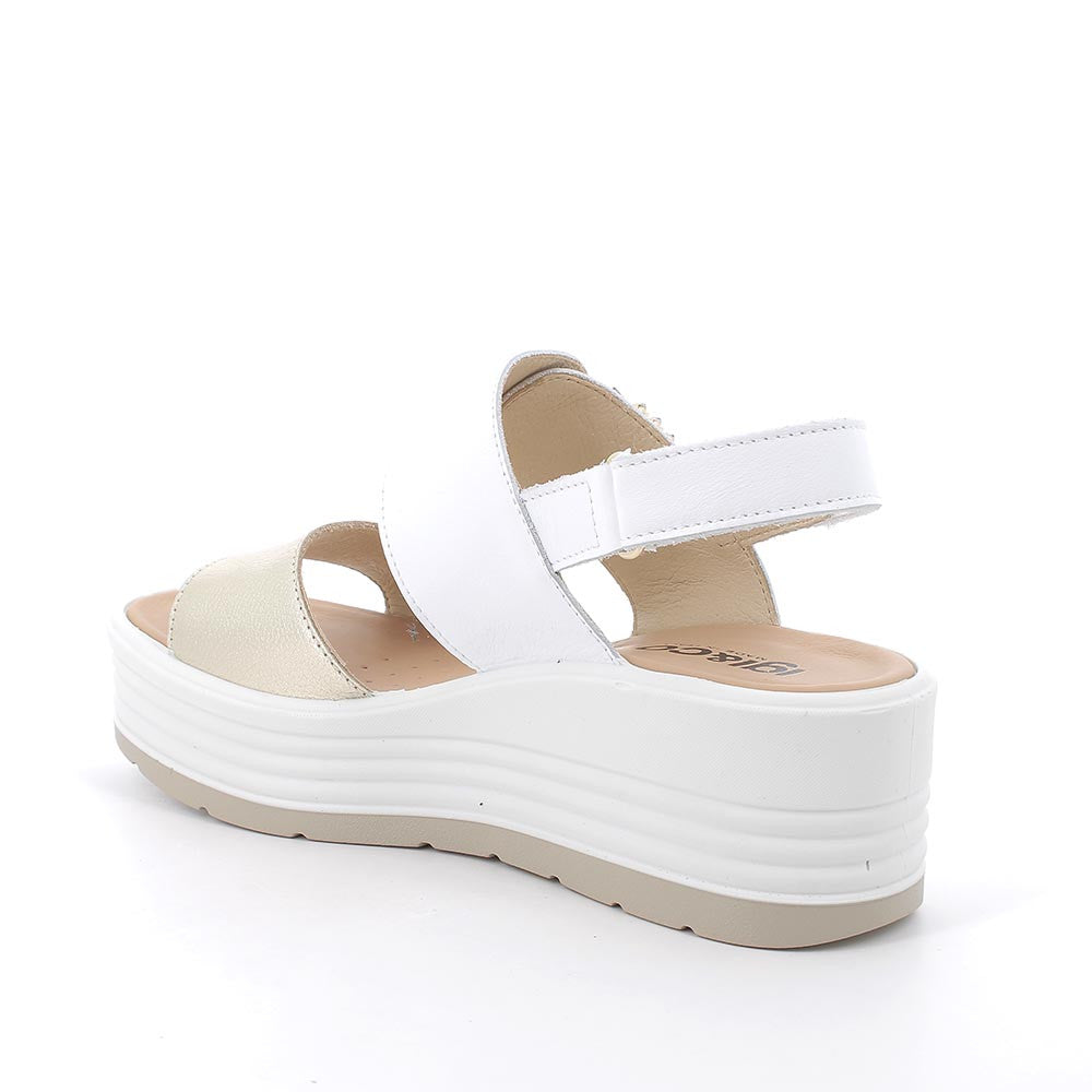 IGI-CO 7667322 PLATINO