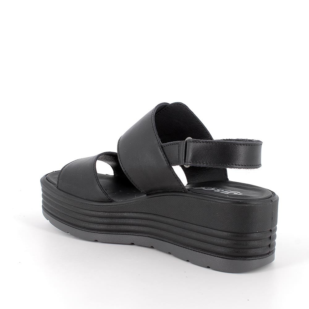 IGI-CO 7667300 NEGRO
