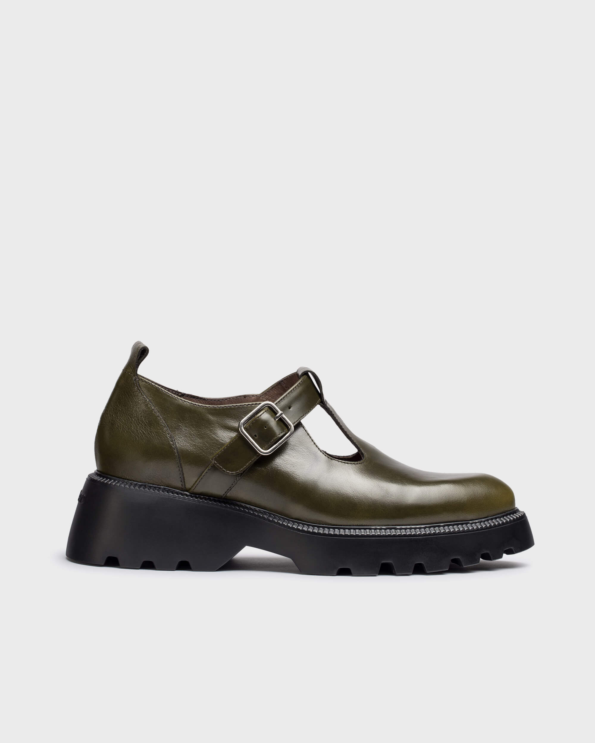WONDERS C-7221 ALGA