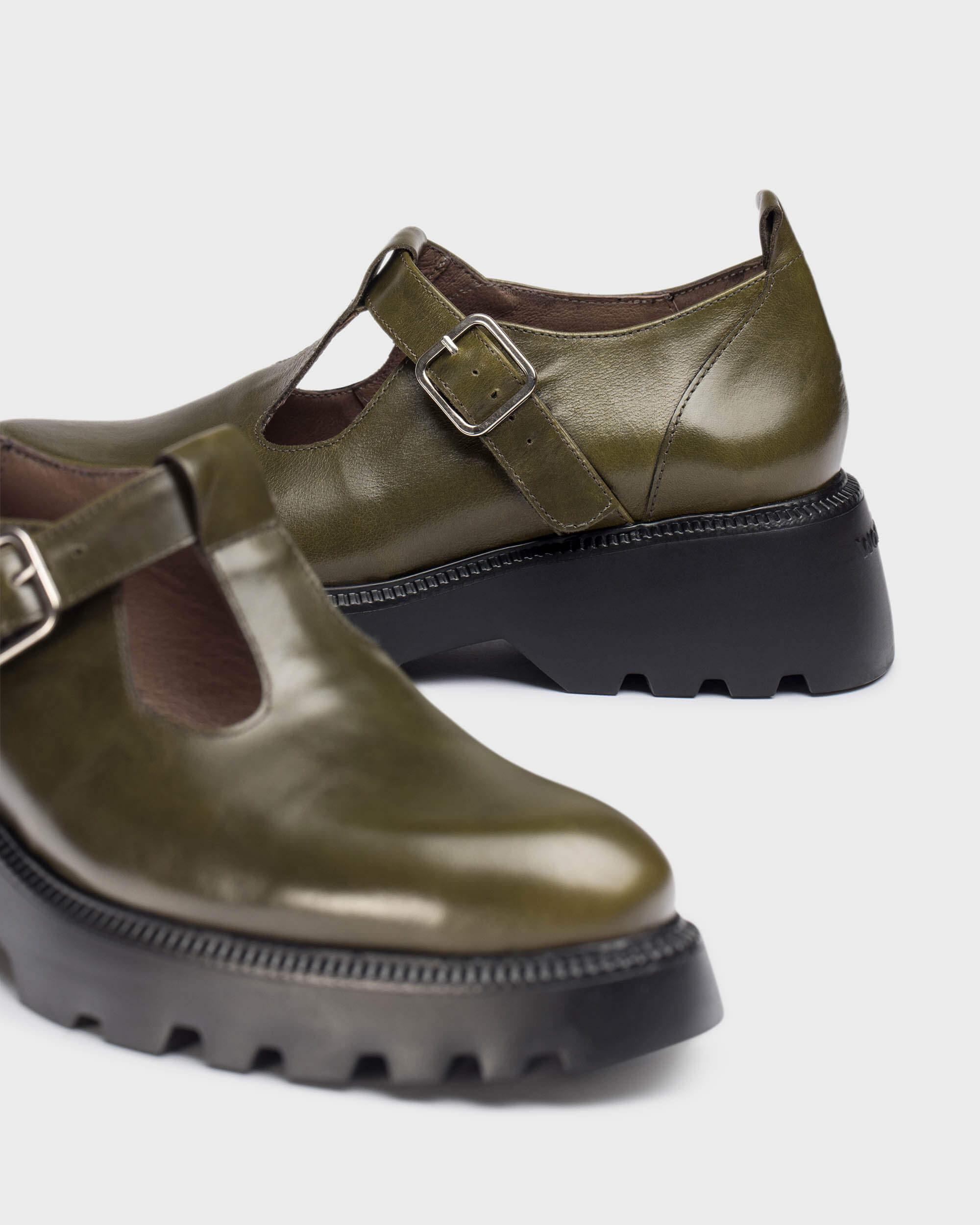 WONDERS C-7221 ALGA