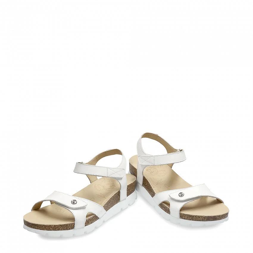Panama Sulia Blanco