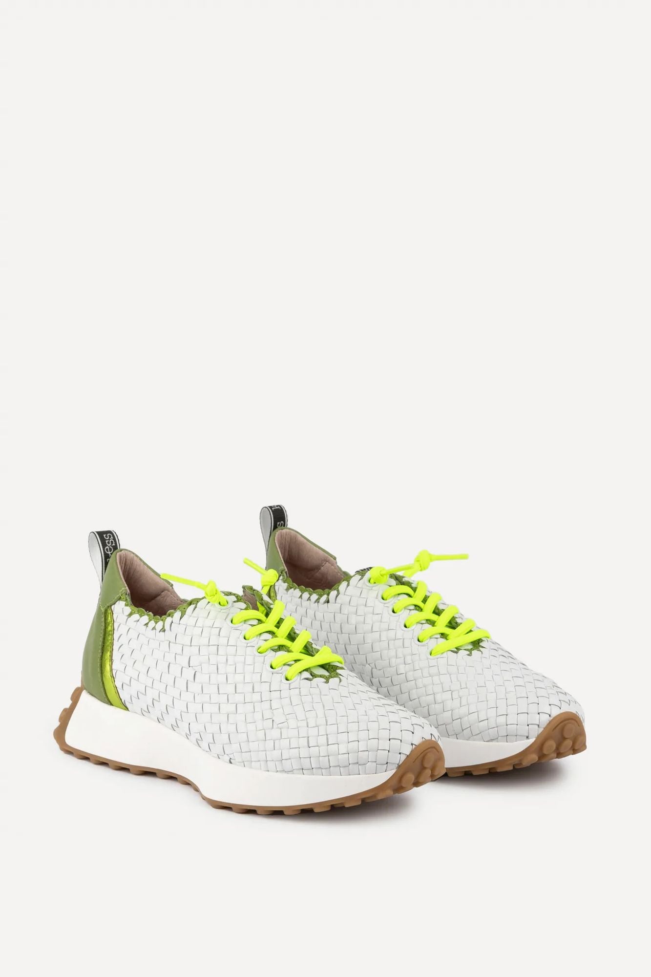 Kess 22980 Lizard