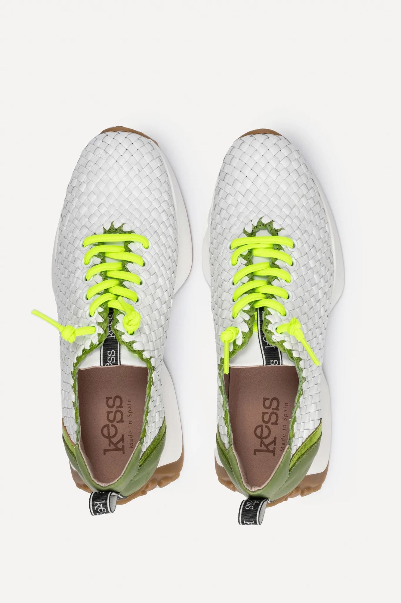 Kess 22980 Lizard